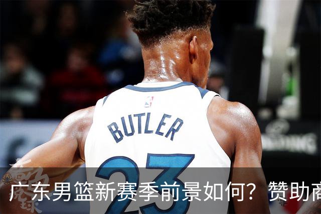 广东男篮新赛季前景如何？赞助商豪言夺冠，主帅却保持谨慎